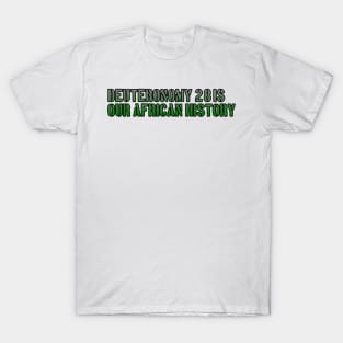 Deuteronomy 28 Is Our African History T-Shirt